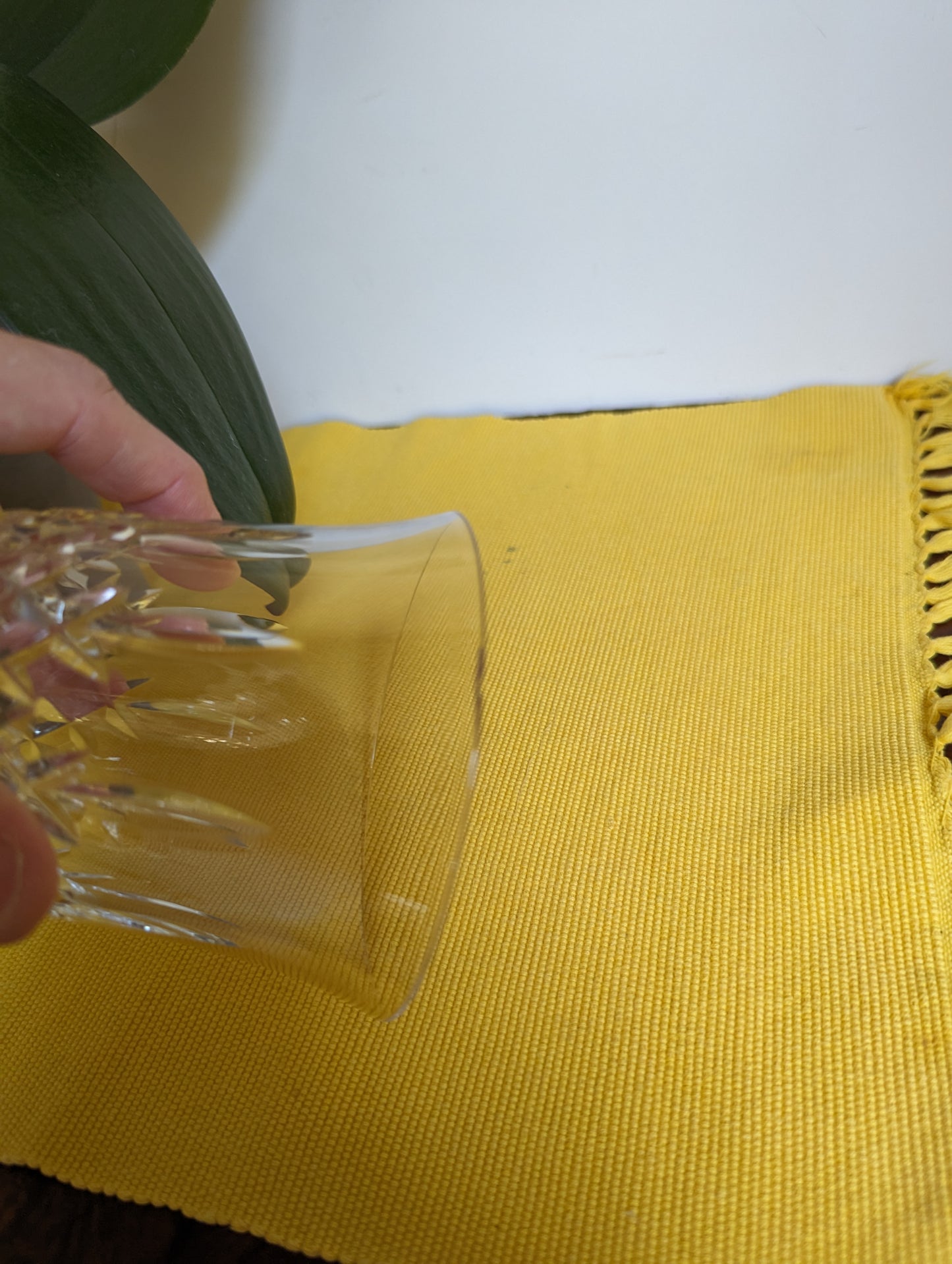 Marquis by Bohemia Crystal Stemware