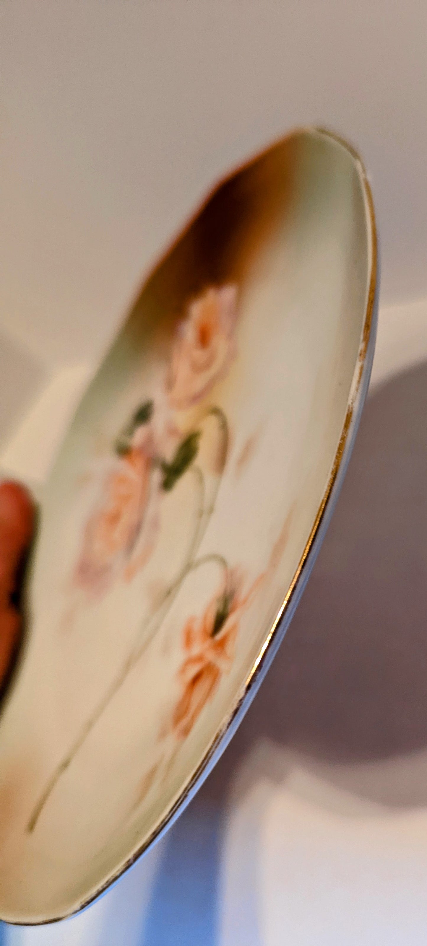 Royal Ruddlstadt Plate