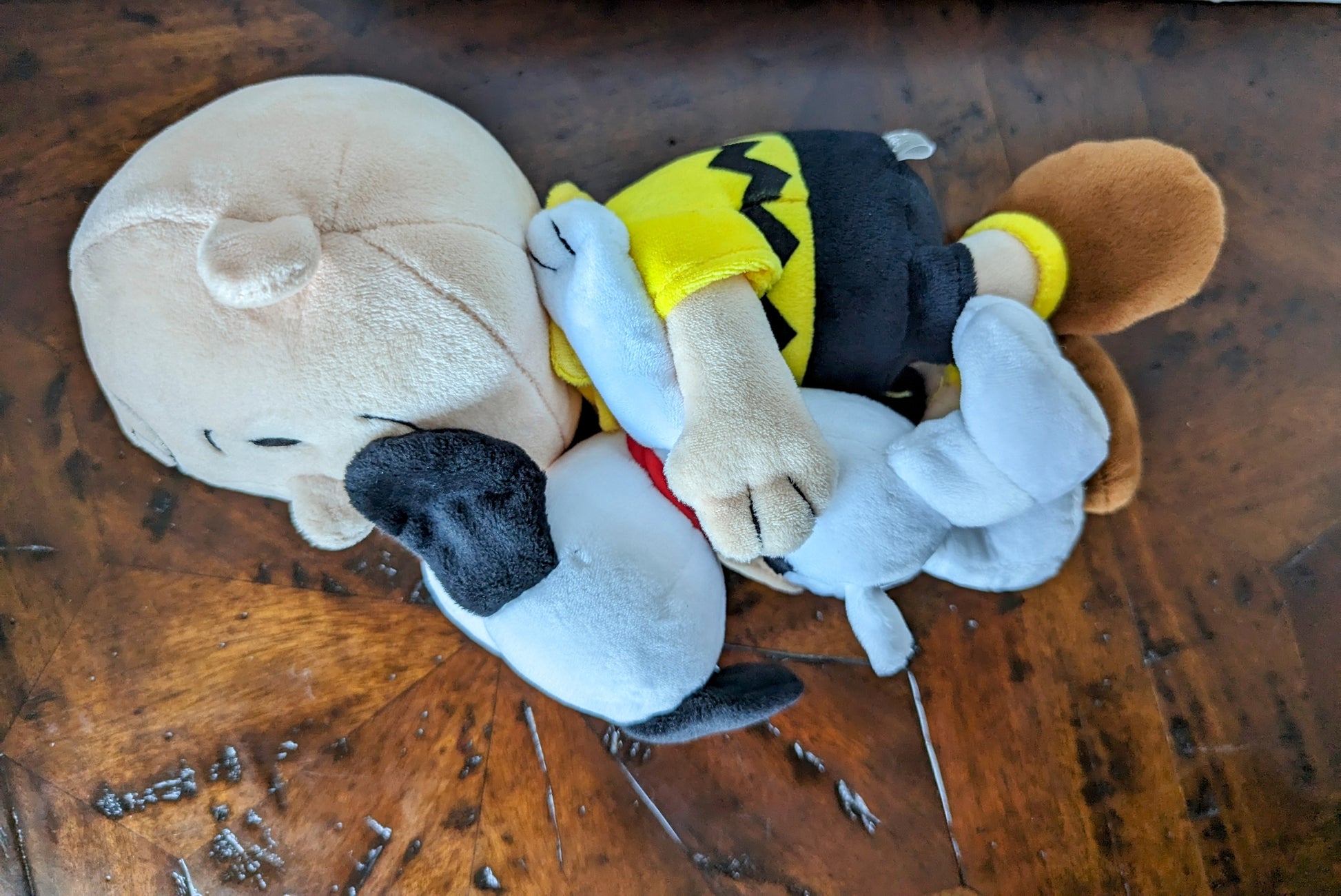 Hallmark Peanuts Charlie Brown and Snoopy Plush – Nauna's Vintage