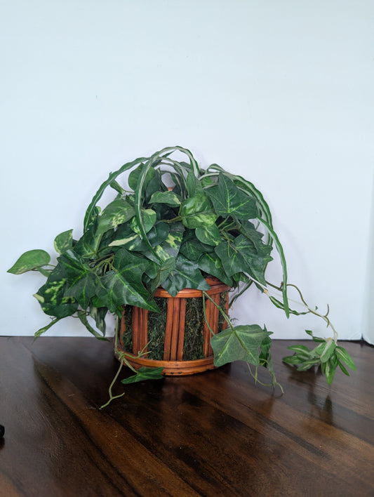 Vintage Rattan Cane Wall Basket