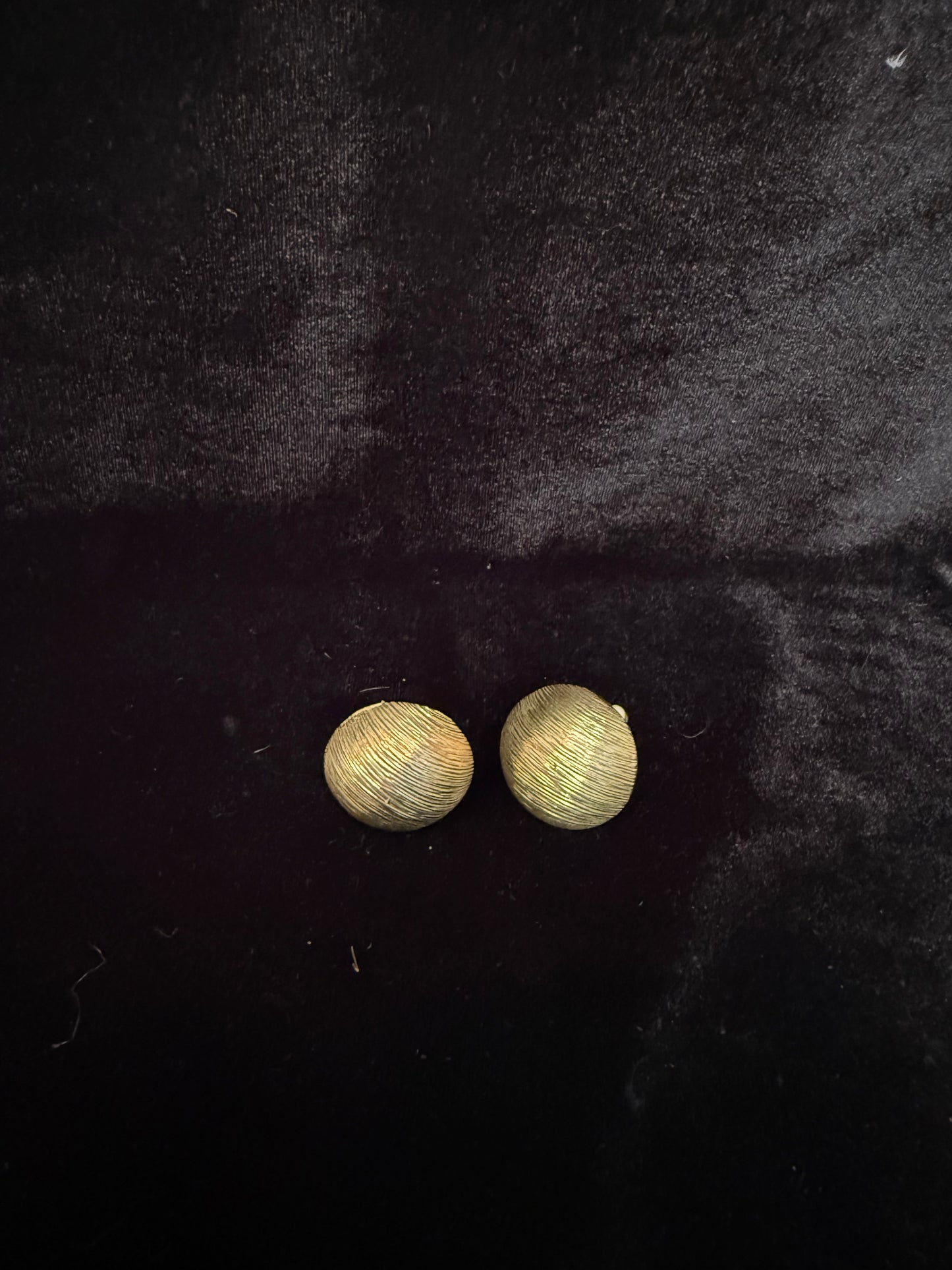 Christian Dior Earrings/No Mark Earrings