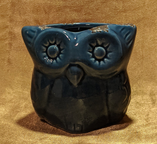 Blue Owl planter/pottery