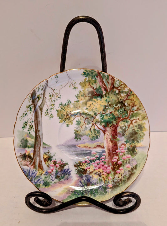 Shelley England Saucer