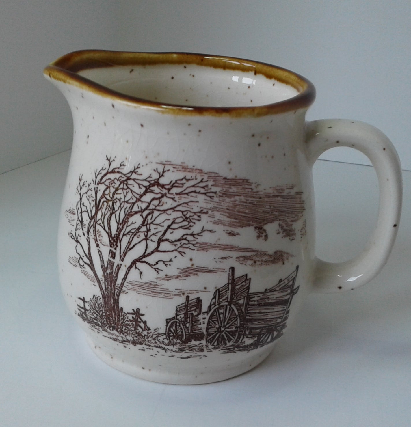 Sky & Plains Stoneware Creamer by Enesco