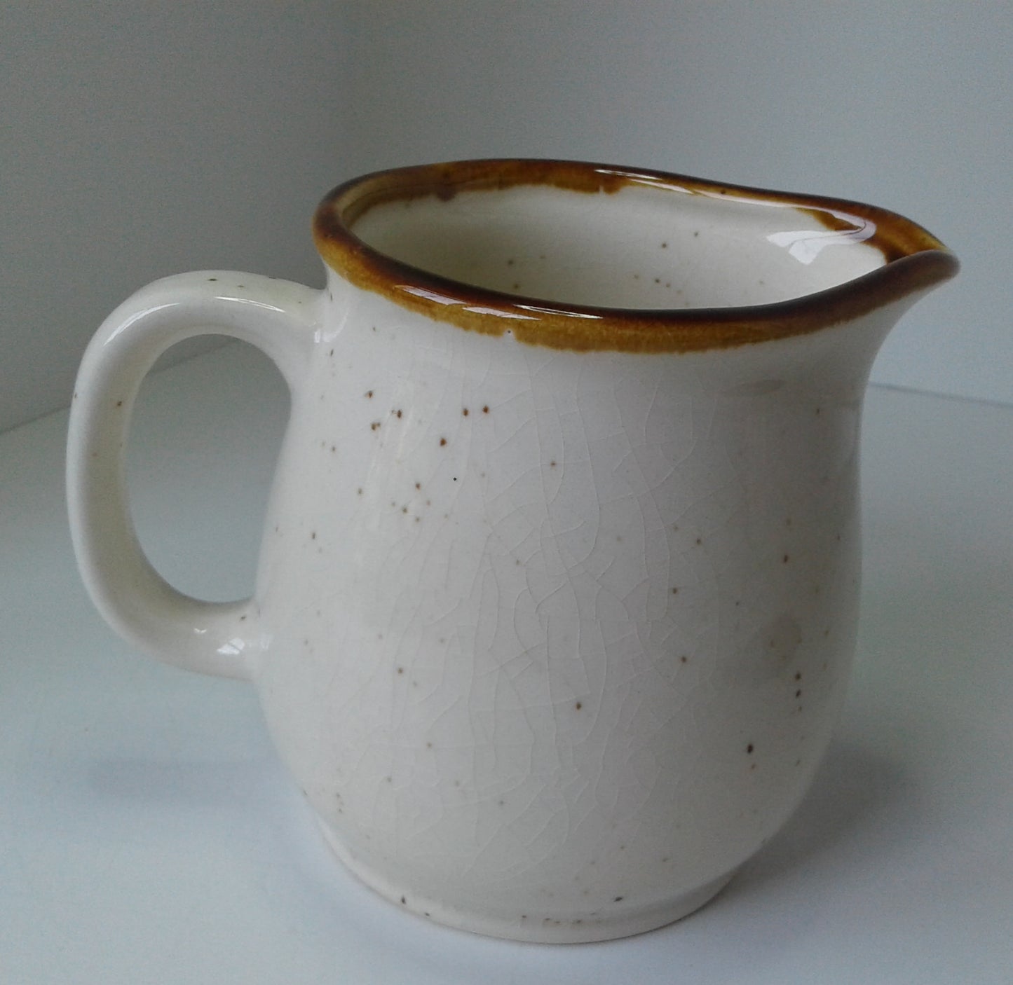 Sky & Plains Stoneware Creamer by Enesco