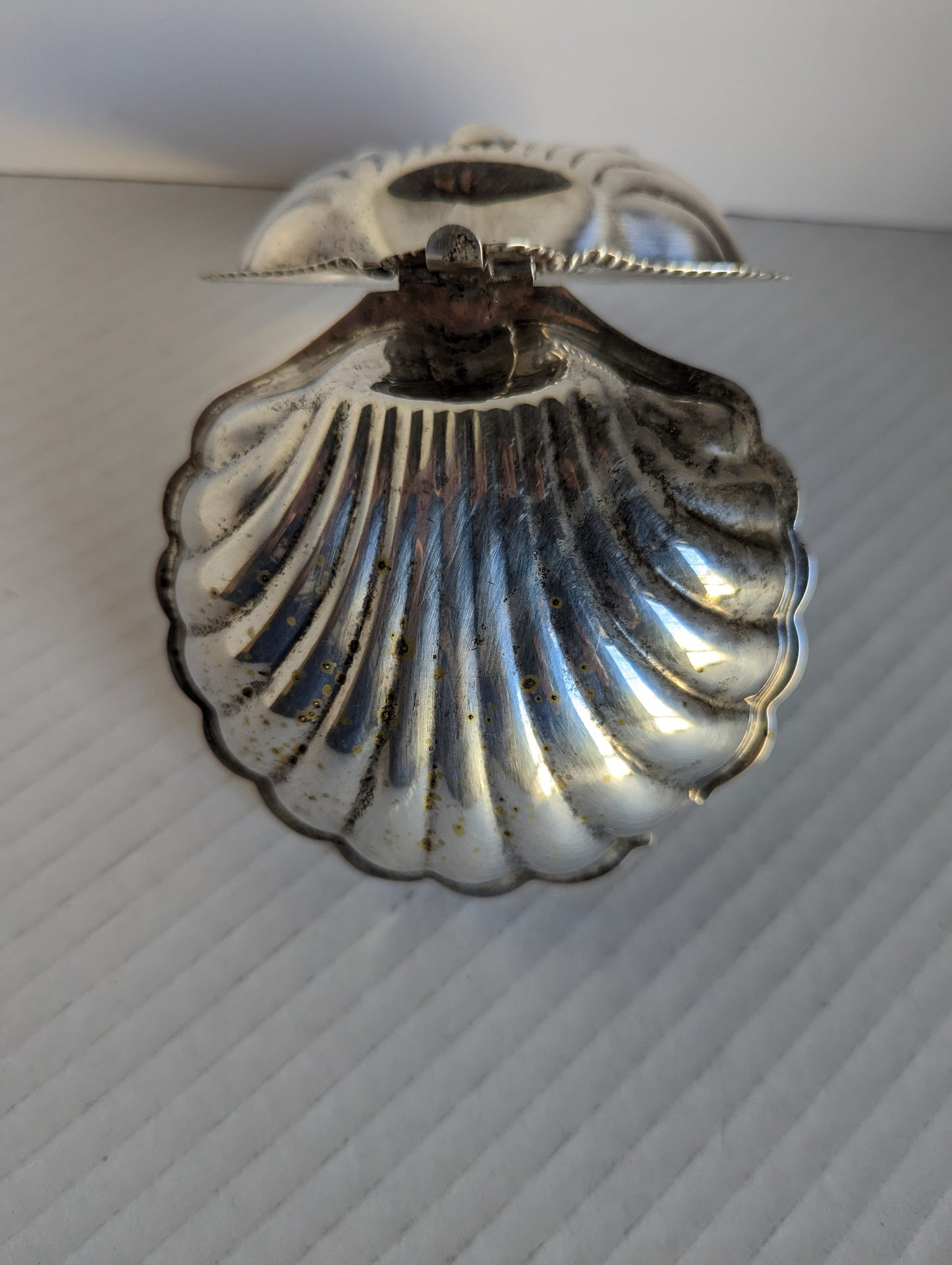 F & JL England Silverplated Antique Shell Dish