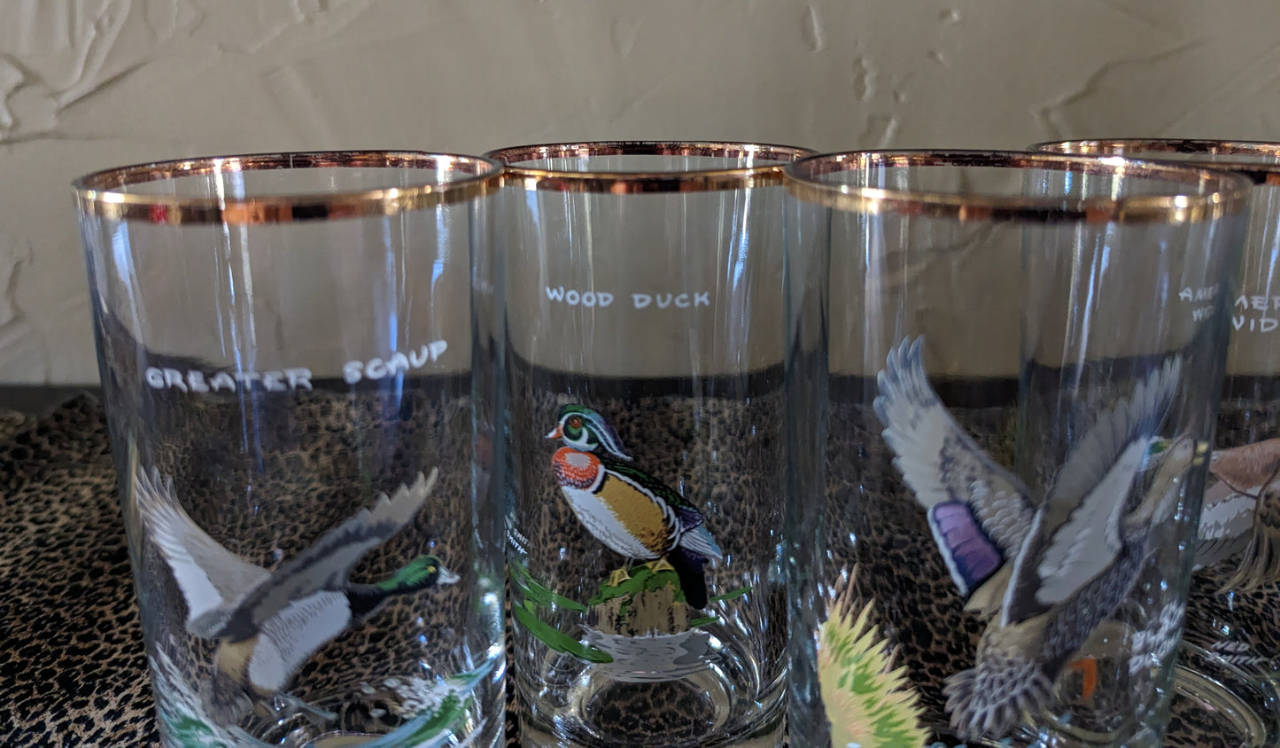 Vintage Ned Smith Waterfowl Drinking Glasses (6)