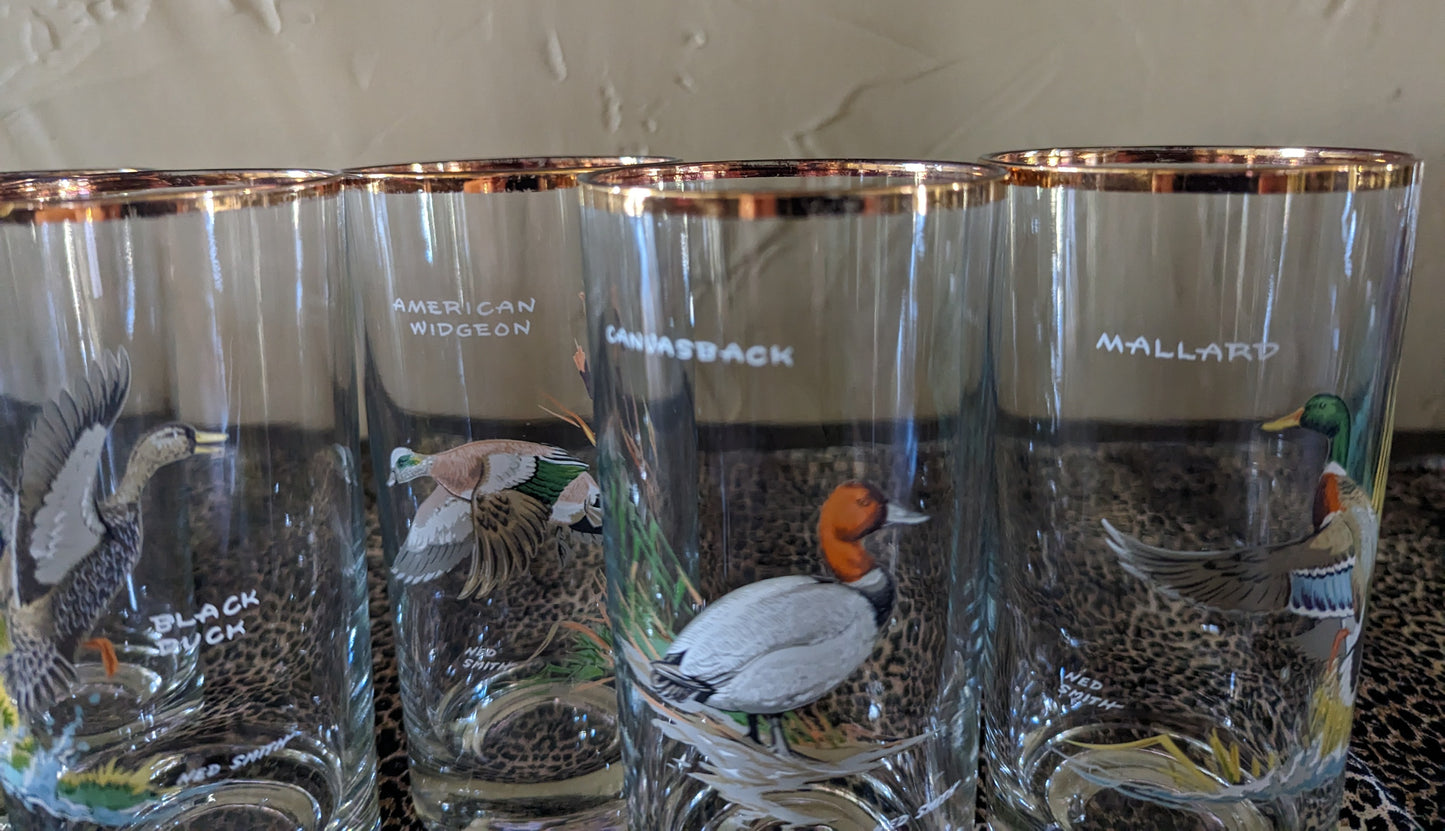 Vintage Ned Smith Waterfowl Drinking Glasses (6)